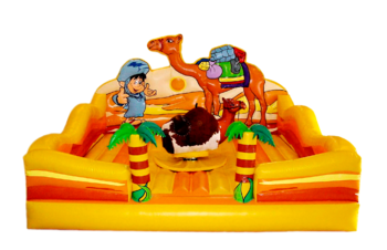 Корабль пустыни