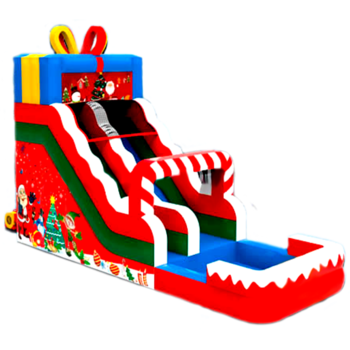 Зимний сюрприз