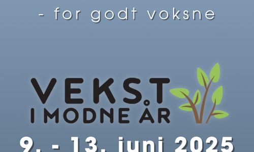 Sommerdager i Stavern