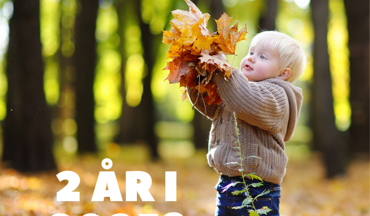 Har du barn født i 2023?