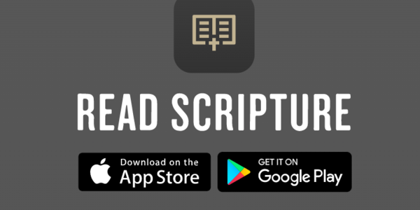 Read Scripture 1 år med video underveis