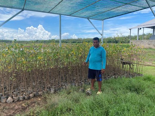 GROWING A GREEN BARRIER IN CU LAO DUNG: FROM SEEDLINGS TO SUSTAINABLE LIVELIHOODS