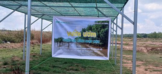 GROWING A GREEN BARRIER IN CU LAO DUNG: FROM SEEDLINGS TO SUSTAINABLE LIVELIHOODS