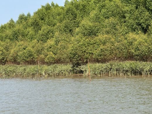 UNLOCKING THE ECOTOURISM POTENTIAL OF CU LAO DUNG