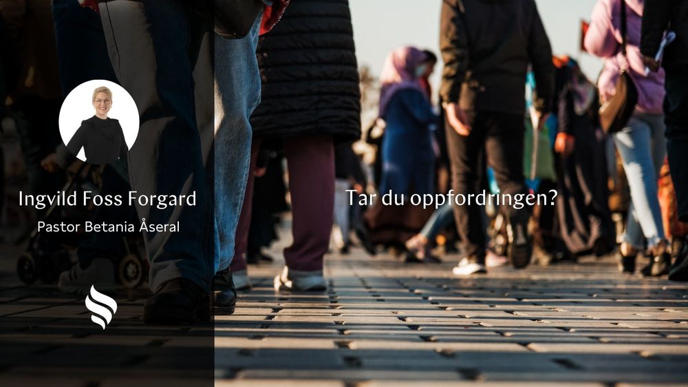 Menigheten - et fellesskap for alle?