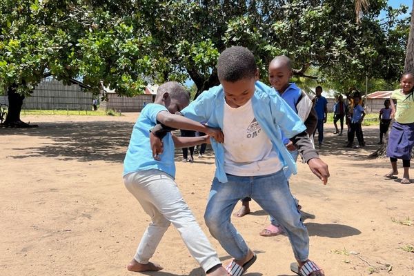 Fornybar energi i Mosambik