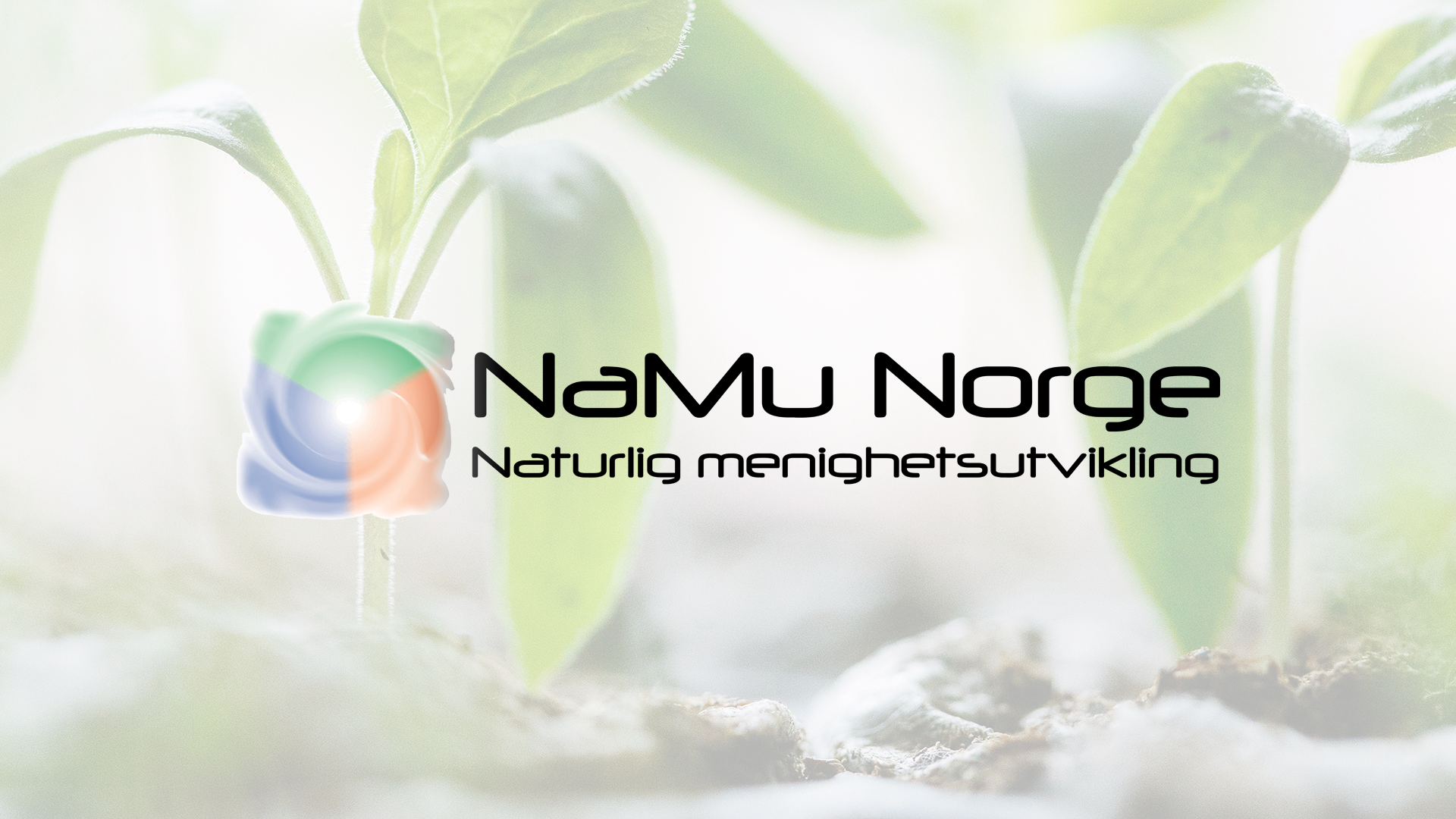 Naturlig Menighetsutvikling