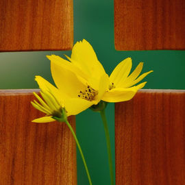 Bønneuke i fastetiden - Dagens andakt torsdag 31.3.22