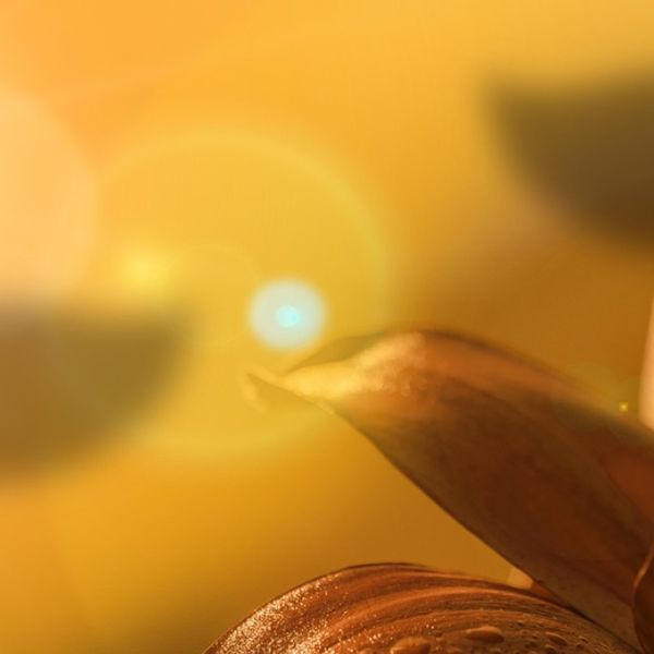 Varig salighet og et kall til alle: Innviet tjeneste!