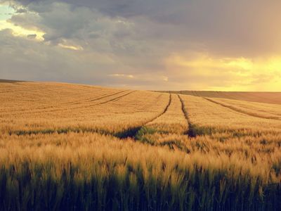 Lignelsen om såmannen og jordsmonnet
