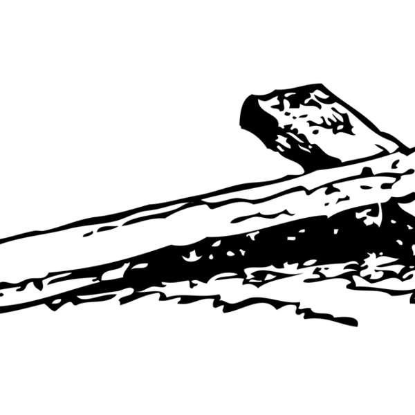 Gjestebudet