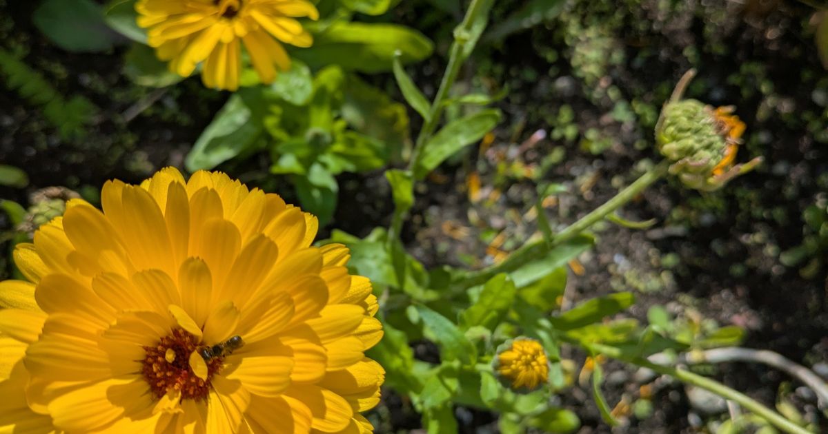 Samlingsgudstjeneste