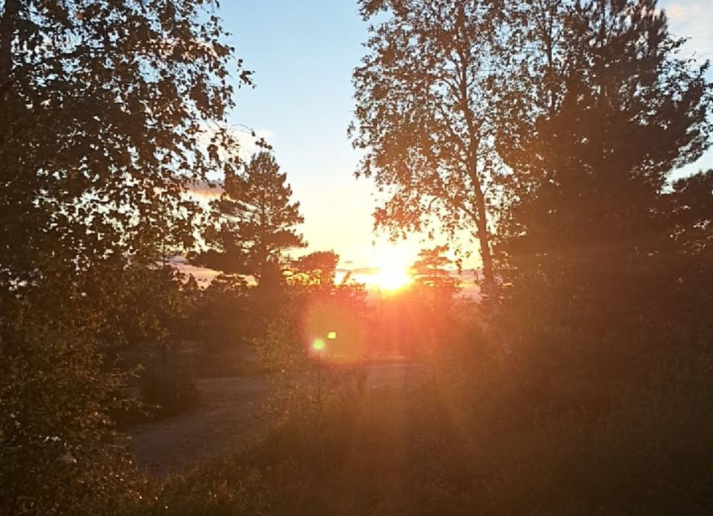 Gudstjeneste