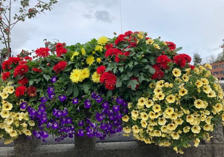 Sommersamlinger i Misjonskirken.