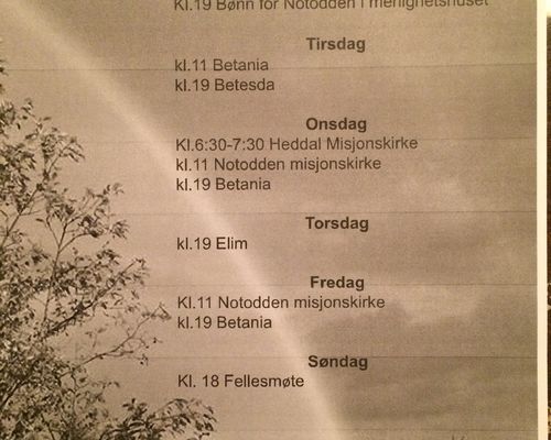 Bønneuka i Notodden