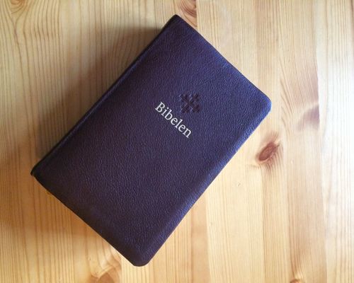 Bibelhistorier for voksne