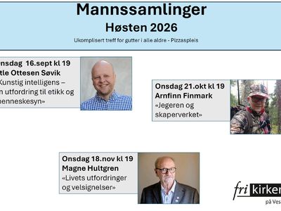 Mannsamlinger