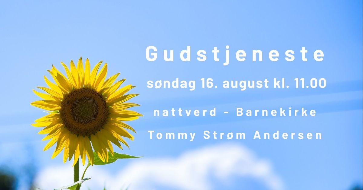 gt 16.8.26