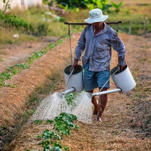 Gudstjeneste 8. Mars 2026