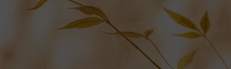 Jona - taleserie høsten 2025