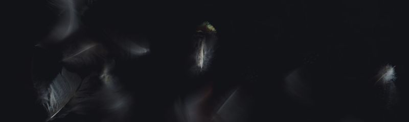 Taleserie: Den hellige ånd