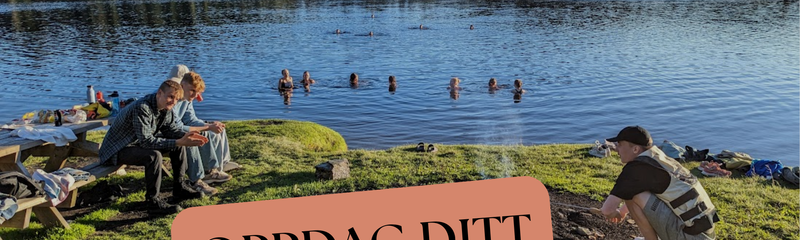 OPP-kurs, Ledertrening