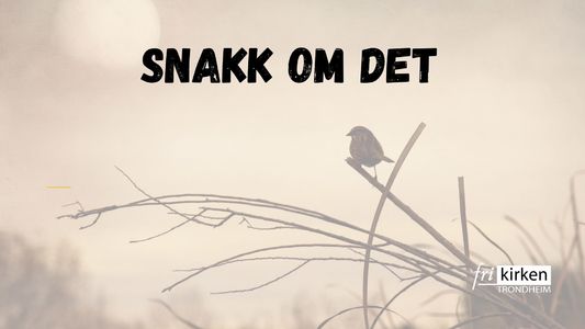 Snakk om det: Ensomhet
