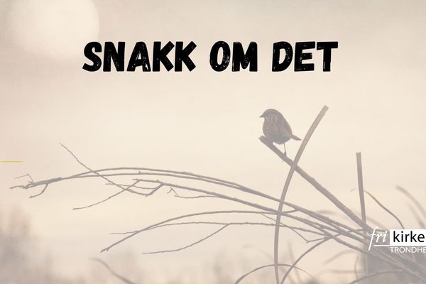 Snakk om det: Ensomhet