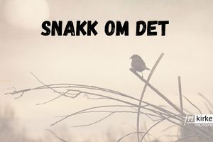 Snakk om det: Ensomhet