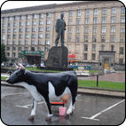 www.kinderattr.ru Аттракцион Дойная корова