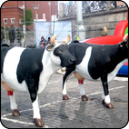 www.kinderattr.ru Аттракцион Дойная корова