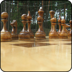 Шахматы парковые
