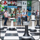 Гигантские шахматы парковые шахматы
