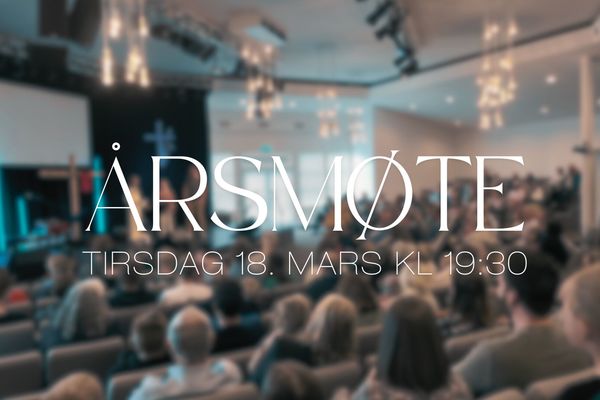 Årsmøte gjennomført - endringer i styre