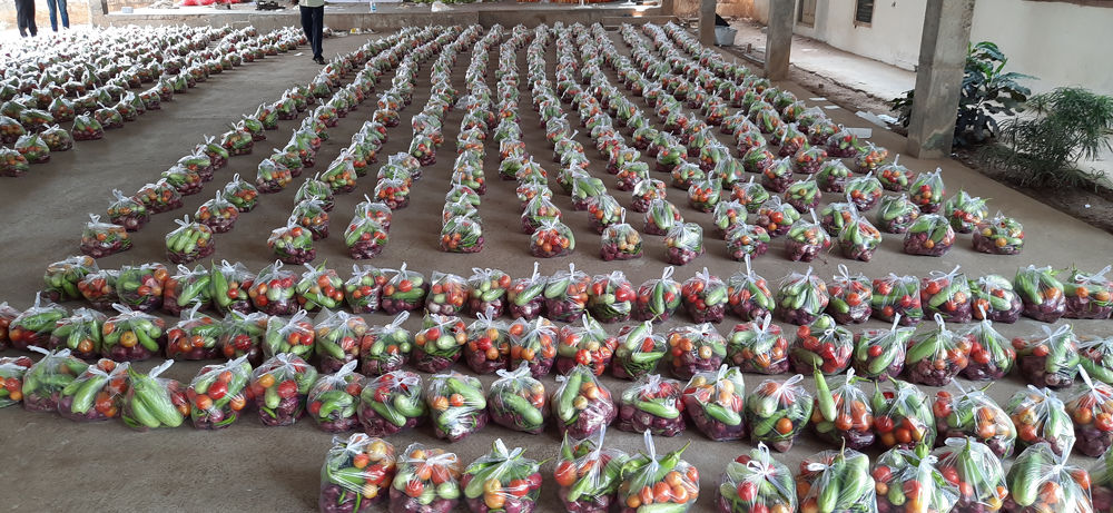 Over 1000 poser med grønnsaker ble pakket og gjort klare for utkjøring.