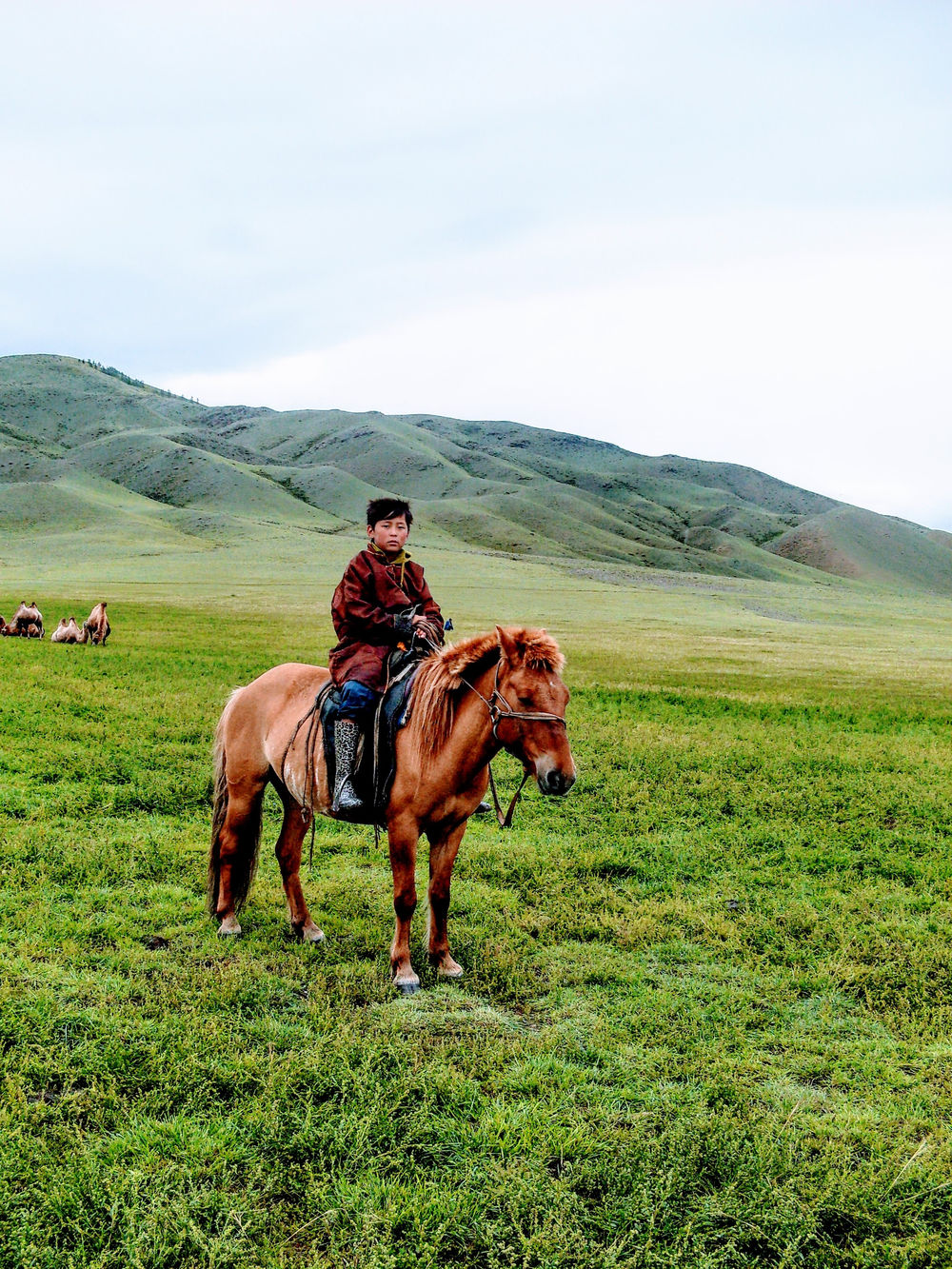 Gutt på hest i mongolsk landskap.