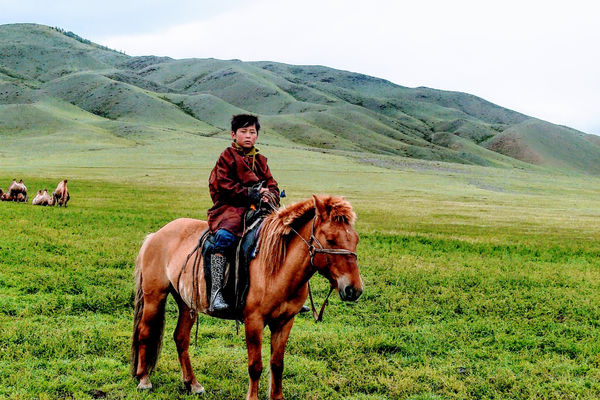 Stor fremgang for evangeliet i Mongolia