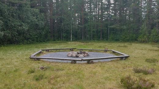 Idavollen tingsted – Skogens magiske hjerte