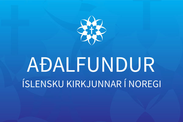 Aðalfundargögn - skýrsla 2025