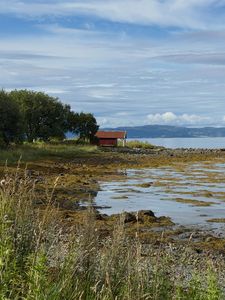 Hausthtíð í Þrándheimi
