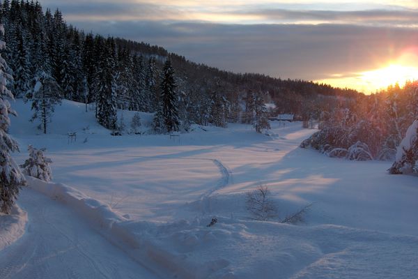 Søndagskveld 25.1.25 kl. 19.00.  Steffen Aarhus med venner synger og vitner.