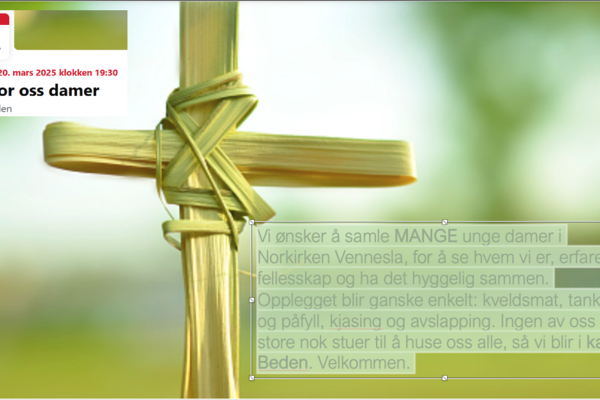 Tid for oss damer