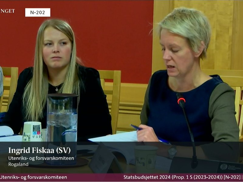 Ingrid Fiskaa fra Sosialistisk Venstreparti, stilte spørsmål knyttet til utformingen av garantiordningen for fornybarinvesteringer.