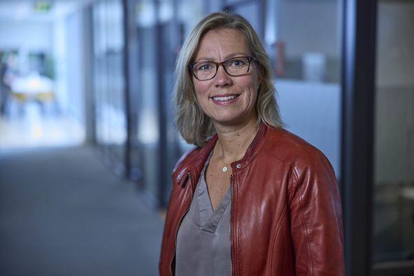 Hovedstyret i Ingeniører Uten Grenser 2025/2026