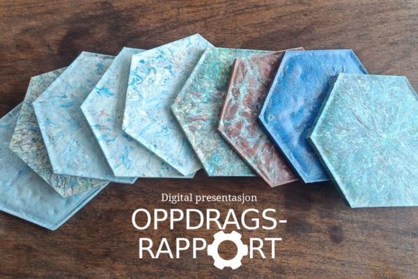 12.06.25 Digital oppdragsrapport: Waste@Work phase 5