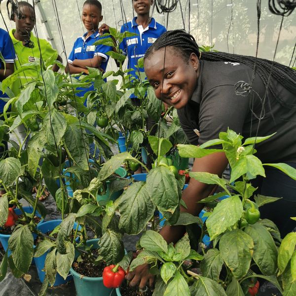 Master med Mening: Kjølelager til Drivhus i Nord-Ghana