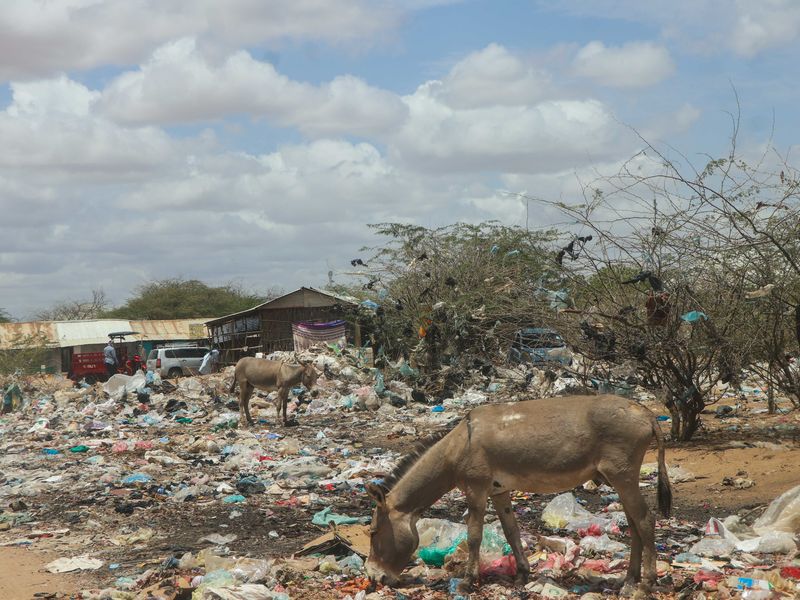 Dadaab, Kenya oktober 2025. Avfall er en stor utfordring - både for mennesker, dyr og klima.