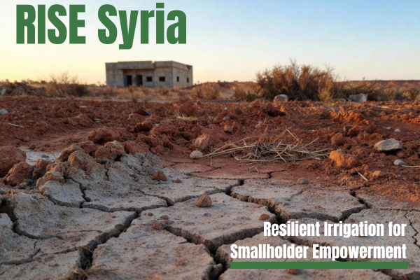 RISE Syria er IUGs femte innovasjonsprosjekt under Humanitarian Innovation Programme (HIP).