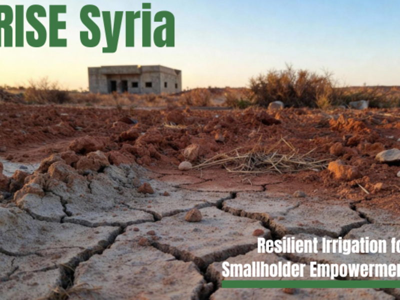 RISE Syria er IUGs femte innovasjonsprosjekt under Humanitarian Innovation Programme (HIP).