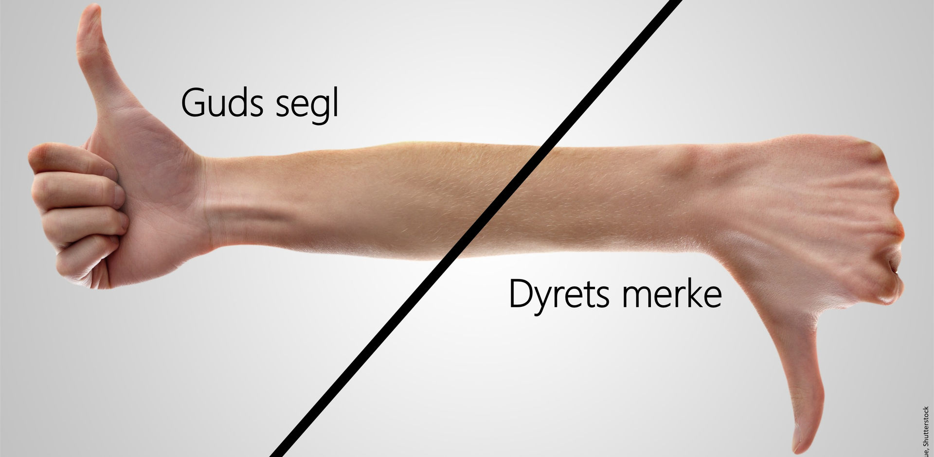 Dyrets merke og tall i Åpenbaringsboken